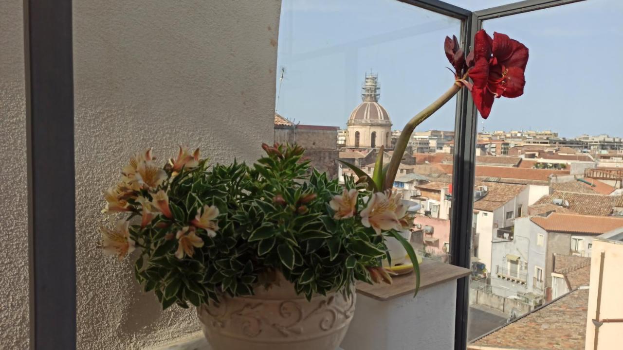 Sogno Etneo Bed & Breakfast CTA Exterior foto